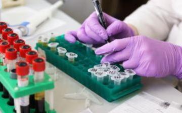 Person with purple gloves handling vials in a laboratory setting. image link to story