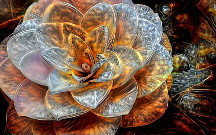 Deep Dream of a Camellia flower in the style of a gold and silver radial pattern.