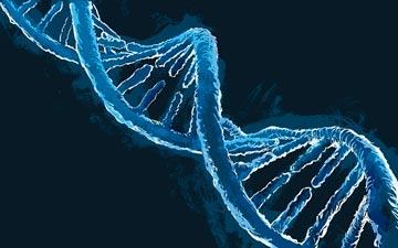 The Ethics of CRISPR