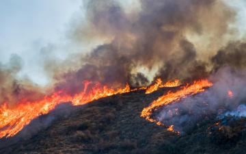 Brush and Tree Landscape Burning with Flame and Smoke During California Wildfire. By Erin via Adobe Stock.