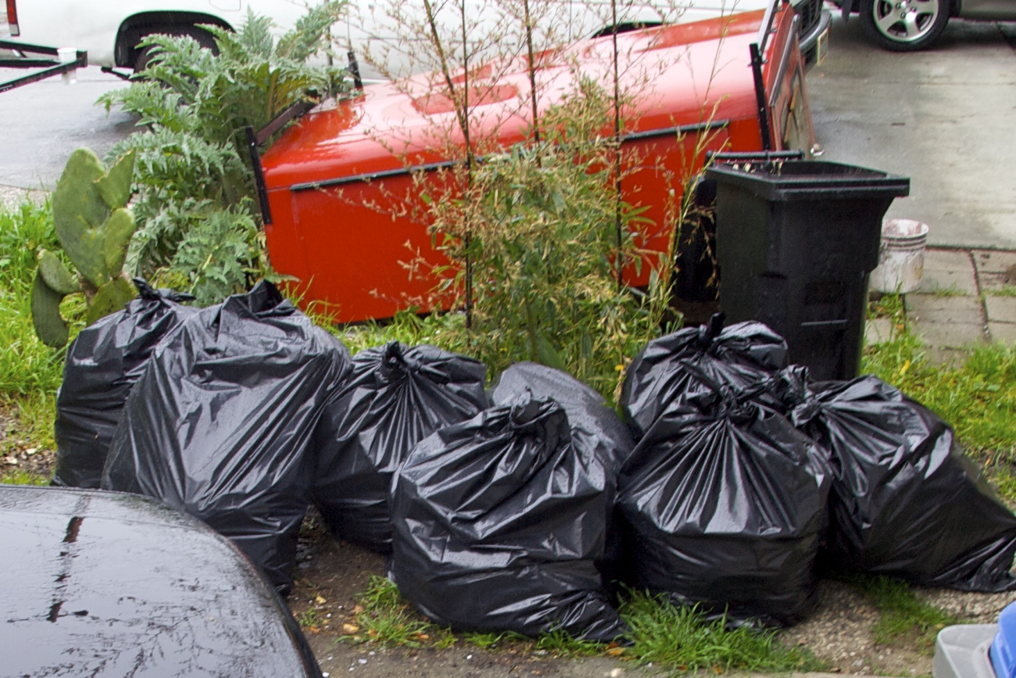 Trash bags outside. image link to story