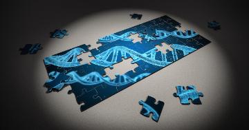 Puzzle pieces of DNA