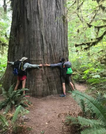 Blair Libby hugging tree on Pacific Northwest Trail