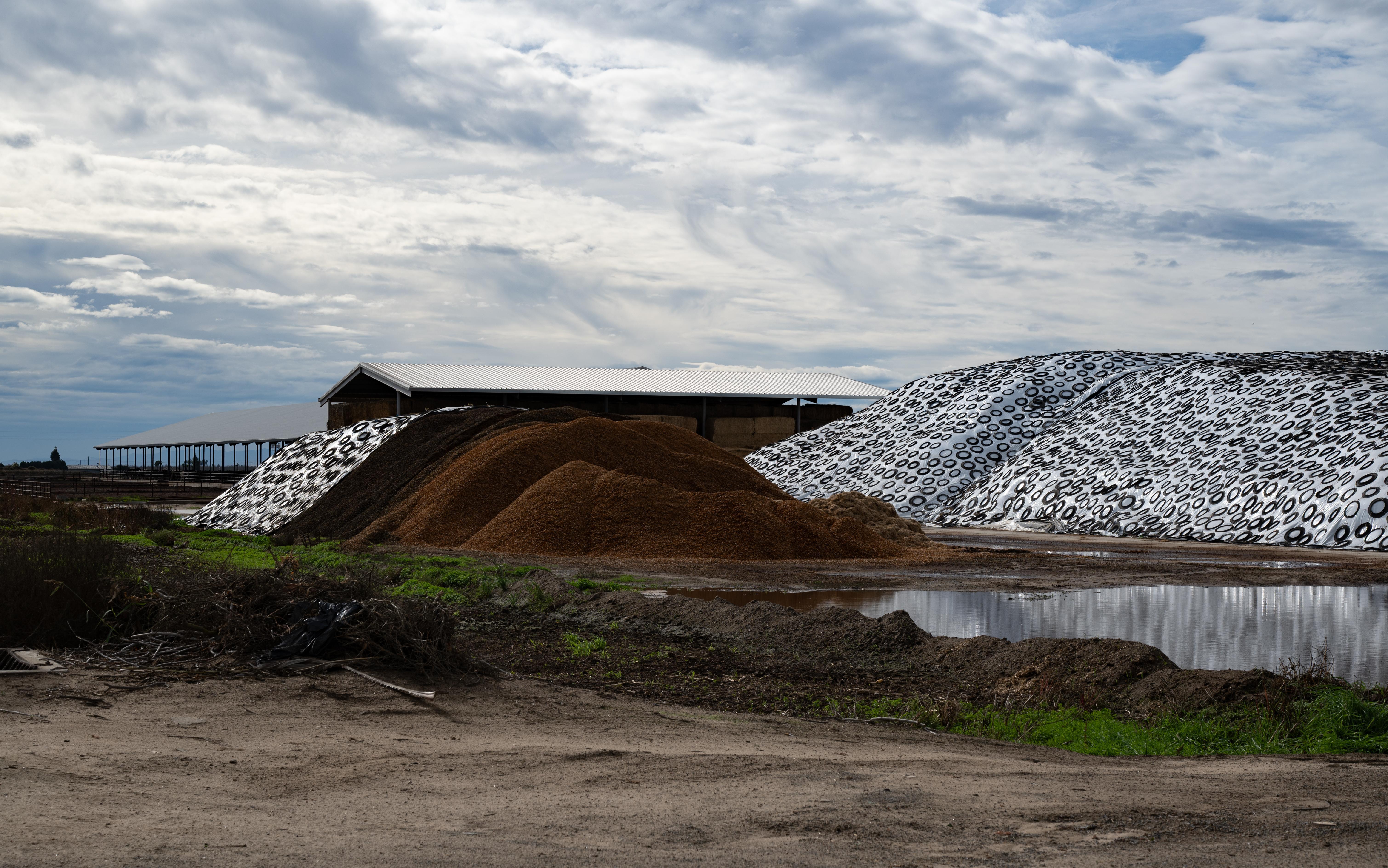Full Width Manure pile at a Concentrated Animal Feeding Operation (CAFO). Photograph by Andrew Schatz. 