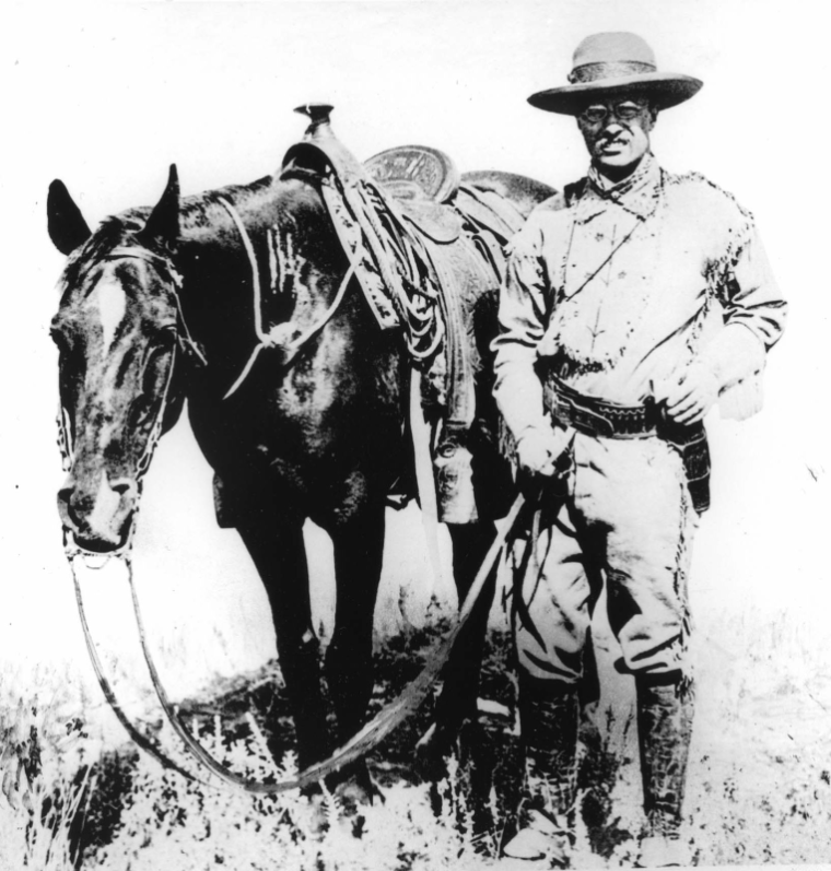  image link to story