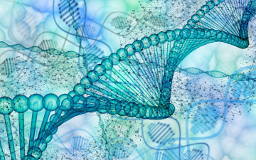 Hand drawn Dna models.