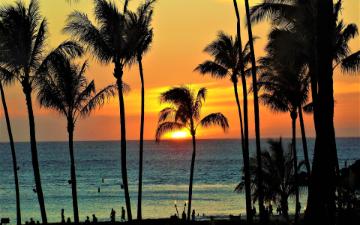 Maui ocean view sunset framed by palm trees People on the beach with tiki torches Image by hmmunoz5126376382Pixabay