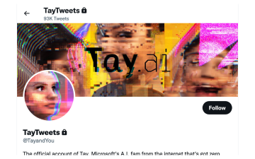 Screenshot from Twitter social platform for Twitter account TayandYou/Tay Tweets.