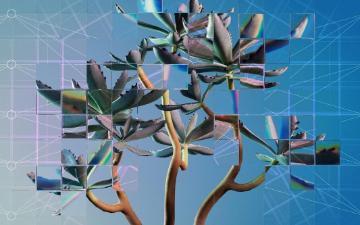A photographic rendering of a succulent plant seen through a refractive glass grid, overlaid with a diagram of a neural network.