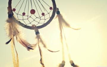 Indigenous art dreamcatcher