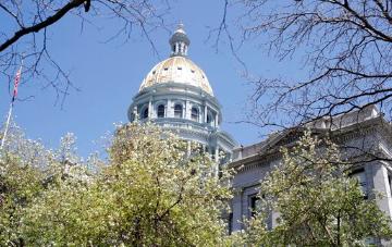 Colorado State Capitol dome with gold leaf, surrounded by tree branches. image link to story