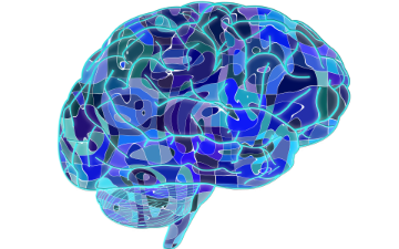 abstact image of the human brain image link to story