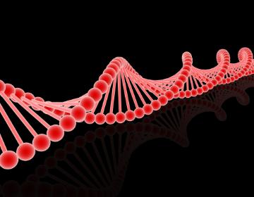 DNA