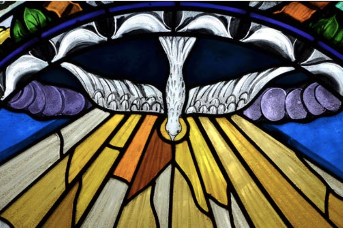 Stained glass artwork featuring a dove with rays of light.