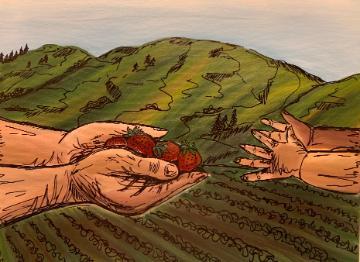 Yesenia Magdaleno-Solis Bearing Fruits
