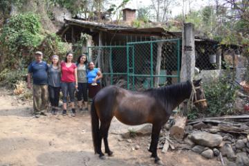Maria Host Family and Horse