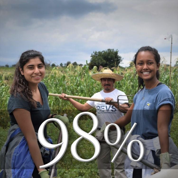 Immersions Mexico Field working