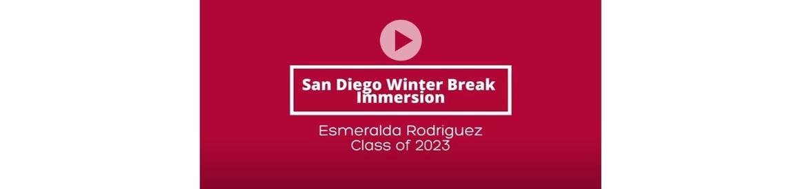 Immersion video image showing text: Attention Grab Text A short description of the video message goes here Click to begin.