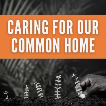 Caring for our Common Home 