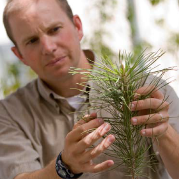 A person examining plants in their hands outdoors. image link to story