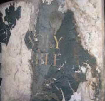 Peeling paint revealing text FLY HERE on a wall.