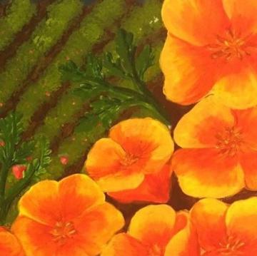 Poppies from SCU Library Mural