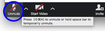 image of unmute/mute icon in Zoom menu bar