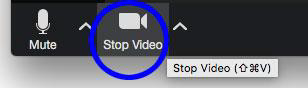 image of stop/start video icon in Zoom menu bar