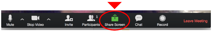 image of Zoom Bar with share screen circled in red.