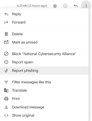 Google's Report Phishing button