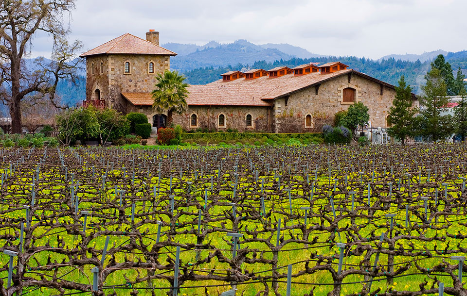 Winery in Napa Valley
