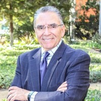 A person in a suit standing in a garden.