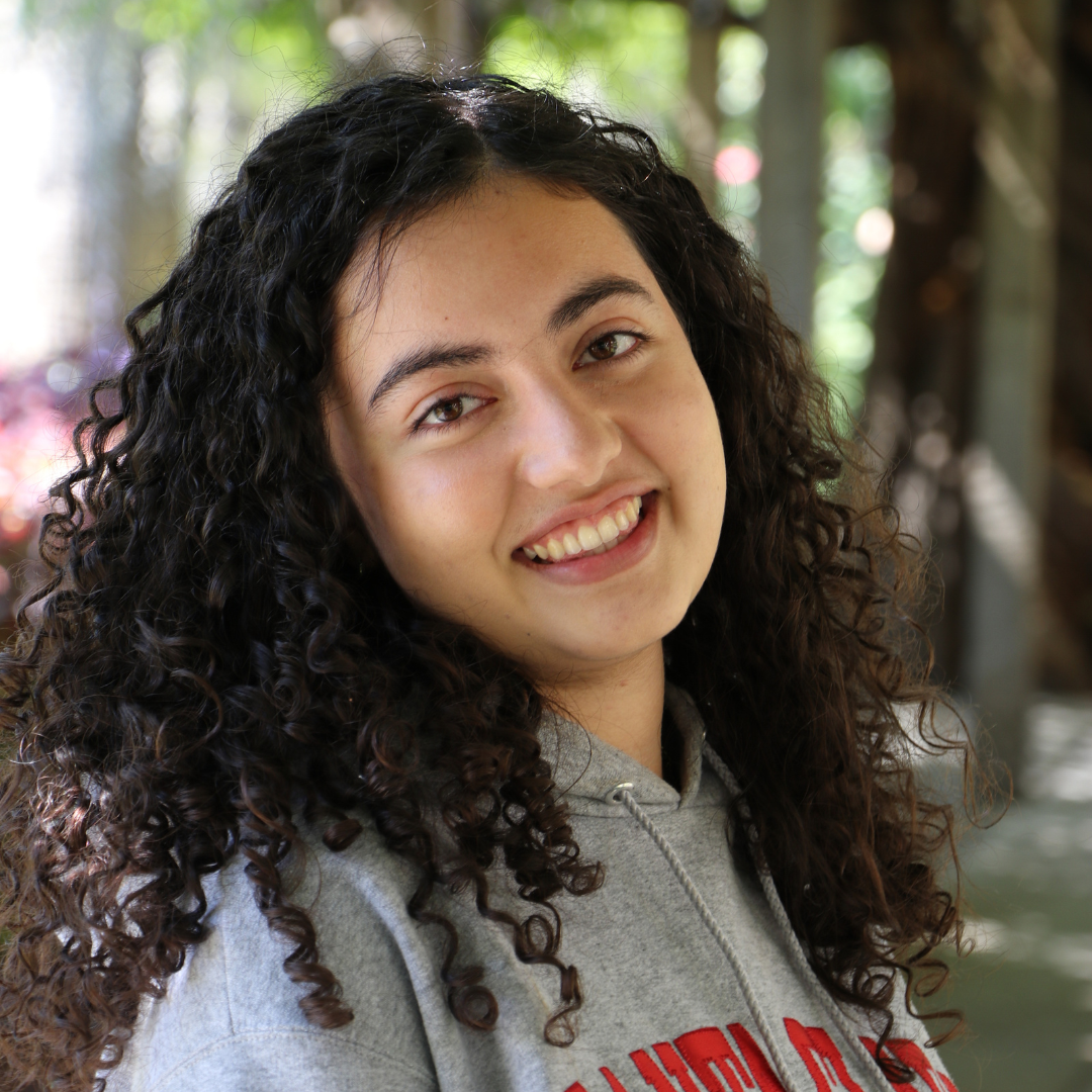 Setay Assadzadeh-Nahvi Square 2026.png