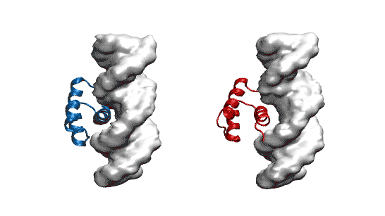 WAVE research project image