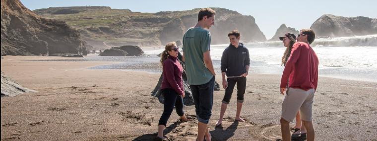 Four people standing and talking on a sandy beach with cliffs in the background.