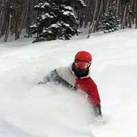 Person skiing in deep snow with trees in the background.