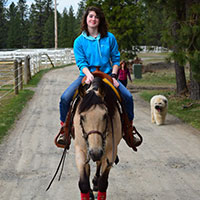 A person riding a brown horse on a dirt path.