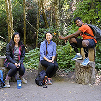 Four people posing together in a forest setting.