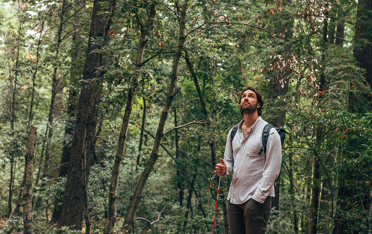 Sean Reilly looks up toward the treetops in a woodland scene.