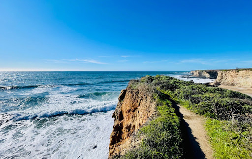 Overlooking the ocean at the cliff edge above Panther Beach, north of Santa Cruz.