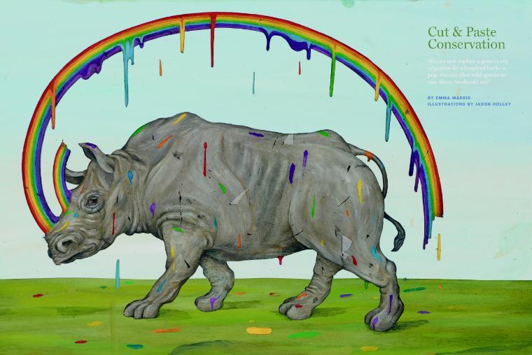 Illustration of a rhino from SC Magazine