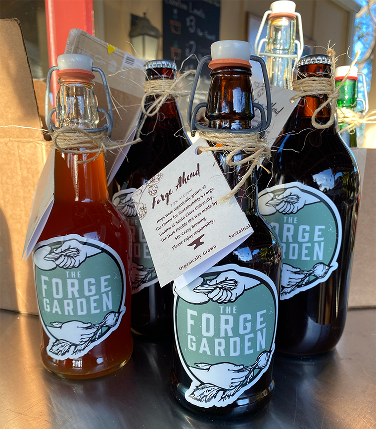 Four bottles of dark brown and red beer on a table.