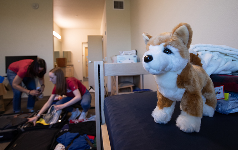 Stuffed dog sits on bed as student moves into residence hall room