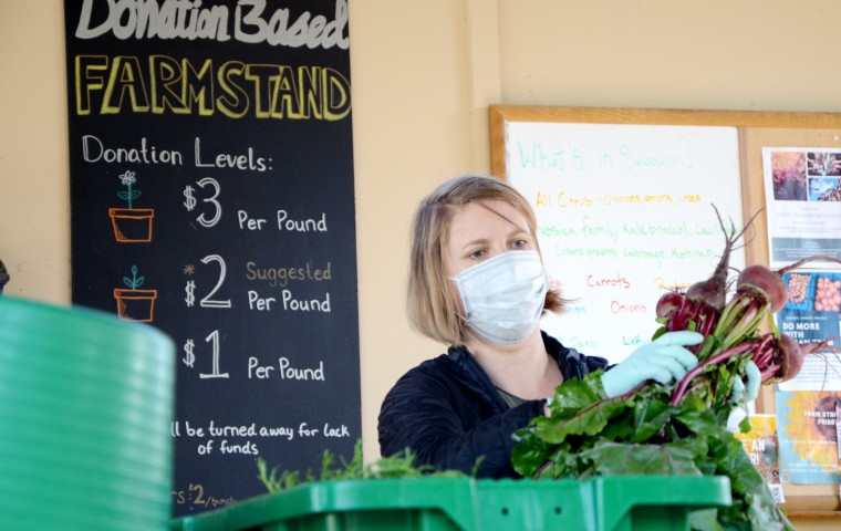 Student in mask sorting vegetables