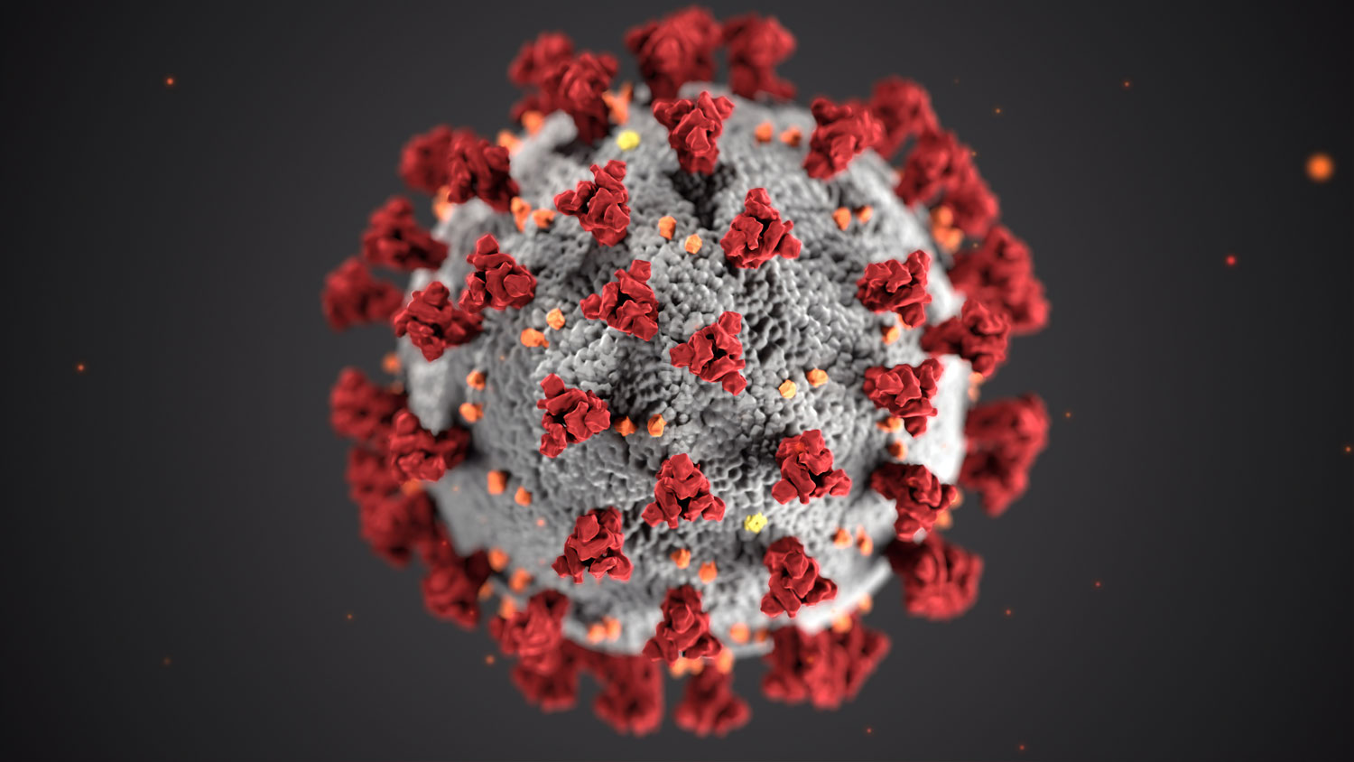 Novel coronavirus covid-19 image link to story