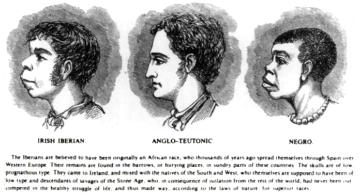 A late-19th-century illustration shows an alleged similarity between “Irish Iberian” and “Negro” facial features in contrast to the higher “Anglo-Teutonic.” Image courtesy Wikimedia.
