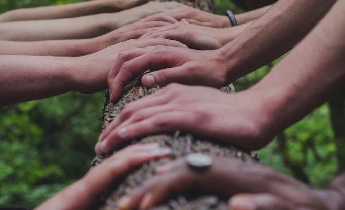 Photo of multiple sets of hands on a tree trunk.