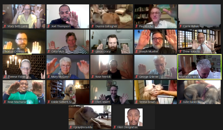 A Zoom call with many people and animals on the screen.