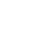 LInkedIn Icon