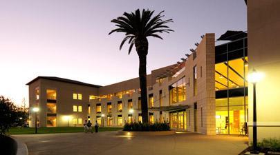 Modern building with lit windows and palm tree during dusk.